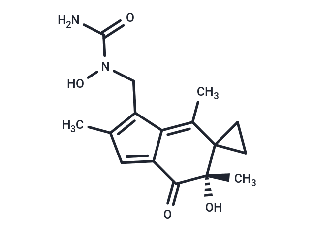 LP-284