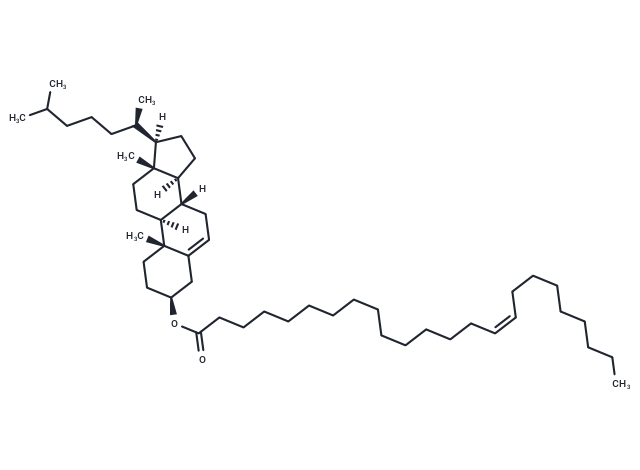 Cholesterol nervonate