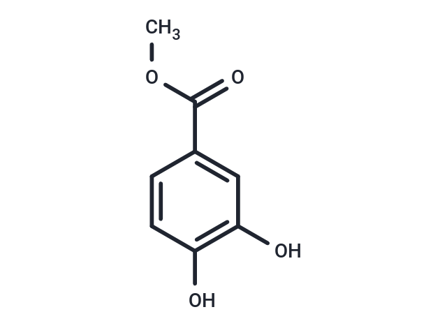 Methyl 3,4-dihydroxybenzoate