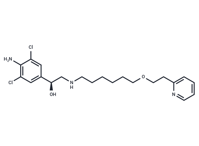 (+)-Picumeterol