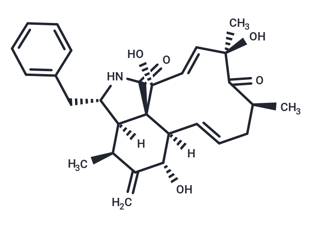 Zygosporin D