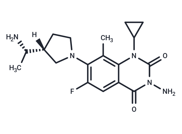 PD 0305970