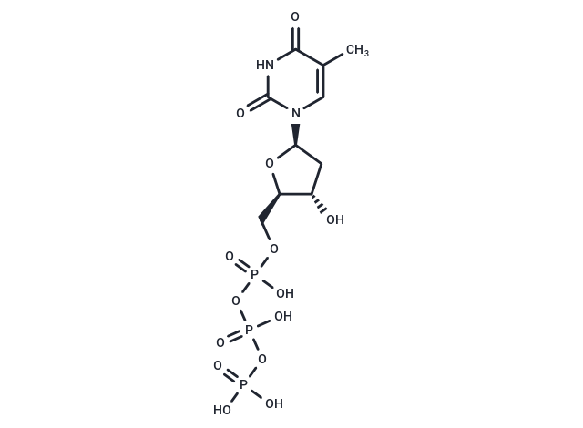 Deoxythymidine-5'-triphosphate