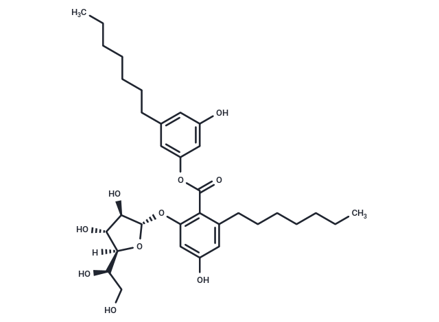 KS 501