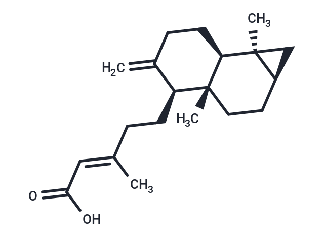 Metasequoic acid A