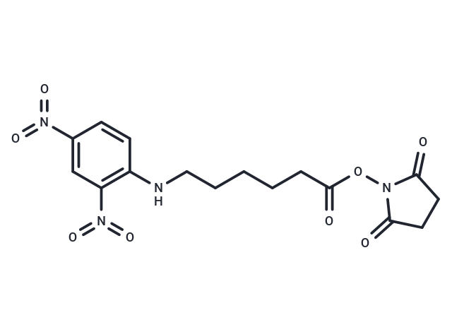 DNP-X, SE