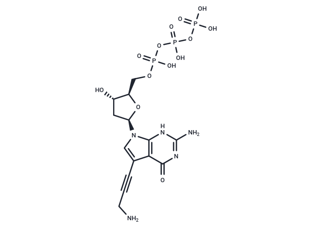 7-Deaza-7-propargylamino-dGTP