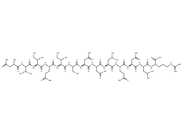 Leptin (93-105), human