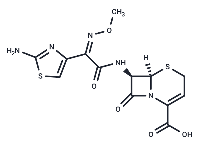 Ceftizoxime