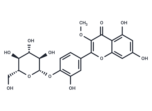 Neochilenin