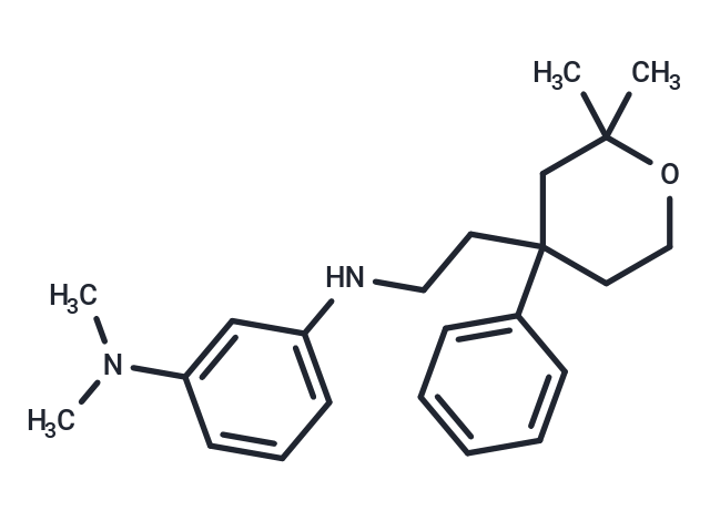 ICMT-IN-16