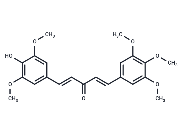 GO-Y078