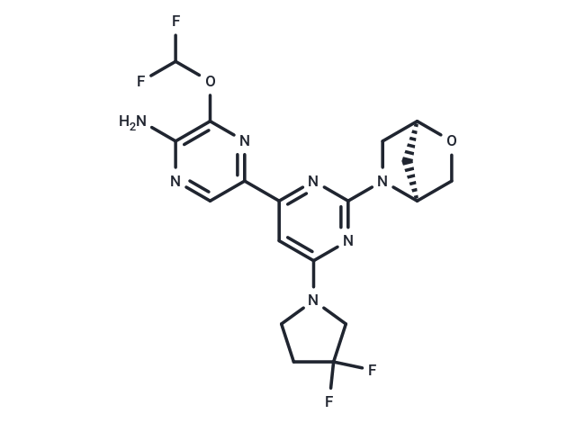 DN-1289