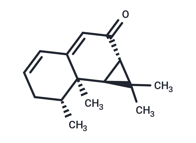 Kanshone H