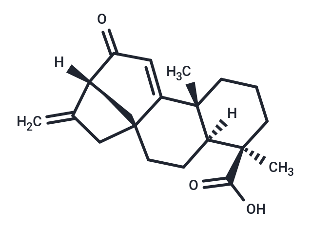 12-Oxograndiflorenic acid