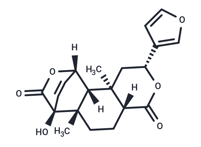 Isocolumbin