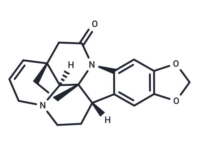 Schizozygine