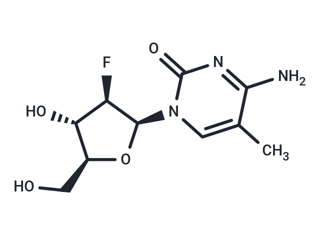 L-FMAC