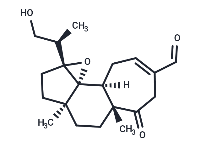 Sarbronine M