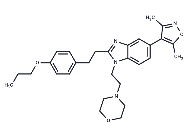 PF-CBP1