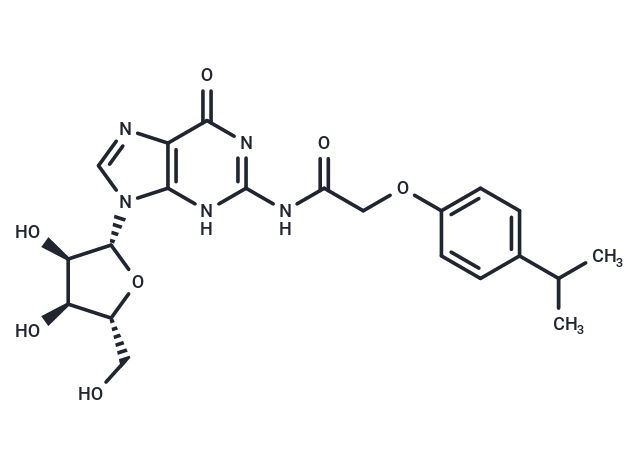 N2-(Isopropylphenoxyacetyl)guanosine