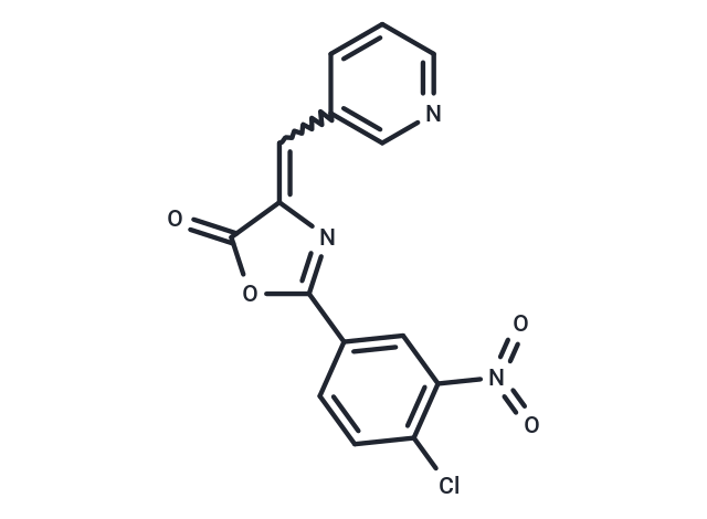 ROCKII-IN-DI