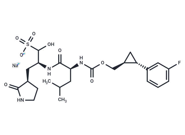 SARS-CoV-2 3CLpro-IN-10