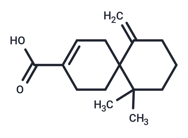 (Rac)-β-Chamigrenic acid