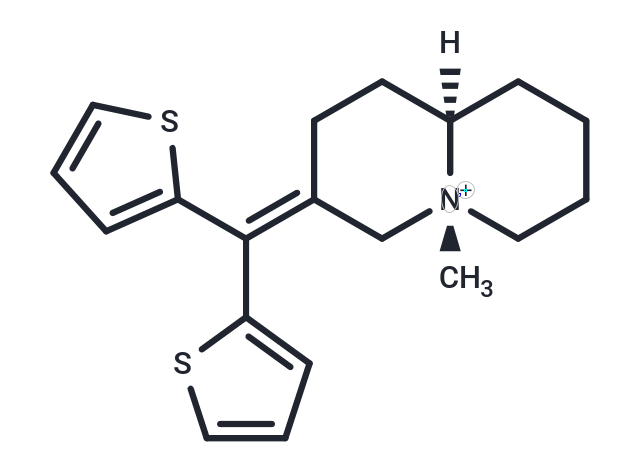 Tiquizium