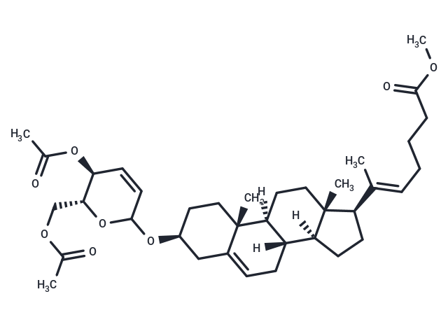 CU06-1004