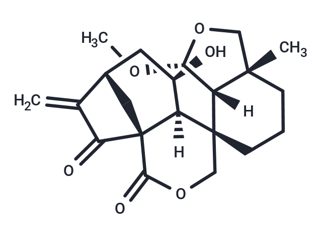 6-epi-Augustifolin