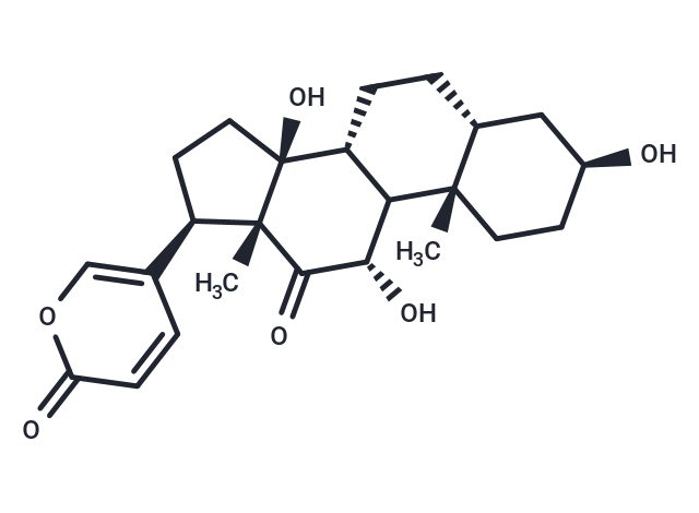 Arenobufagin (Arenobufogenin)