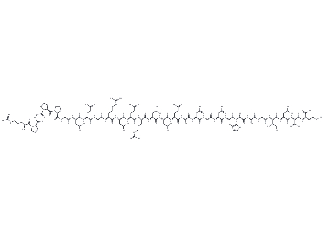 Orexin B, rat, mouse