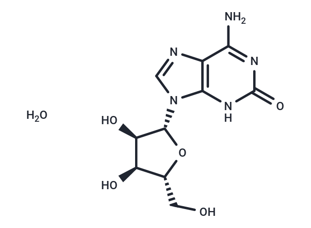 Isoguanosine