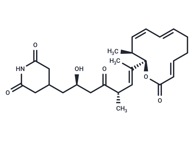 Lactimidomycin