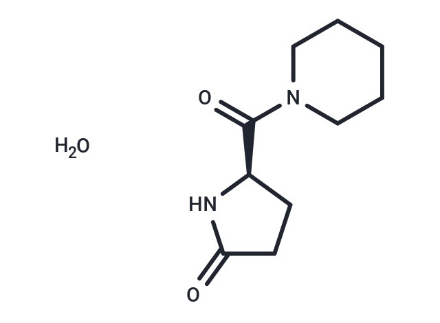 Fasoracetam monohydrate