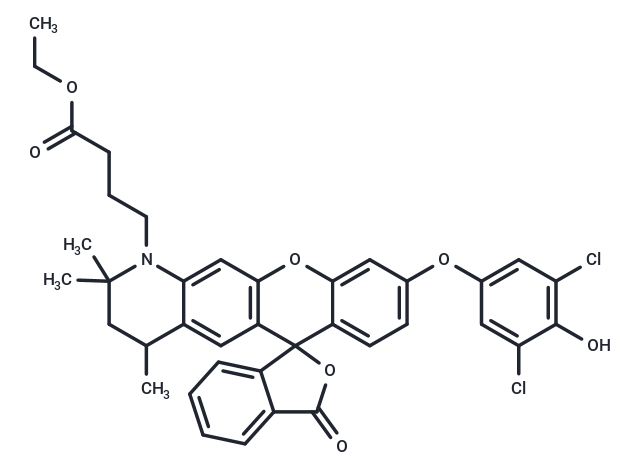 HKOCl-4