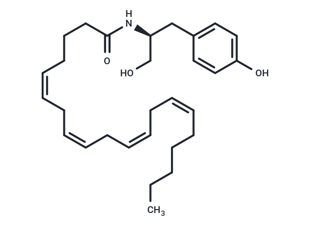 OMDM-3