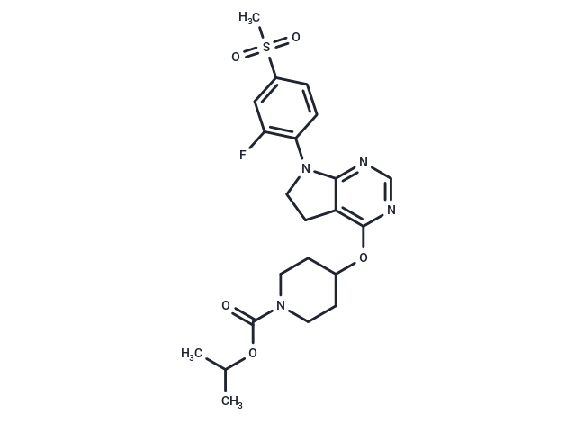 GSK1104252A