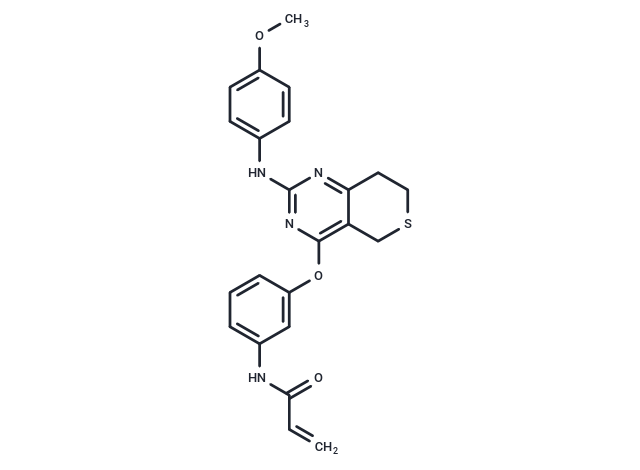 EGFR-IN-56