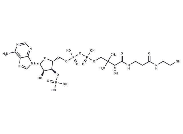 Coenzyme A