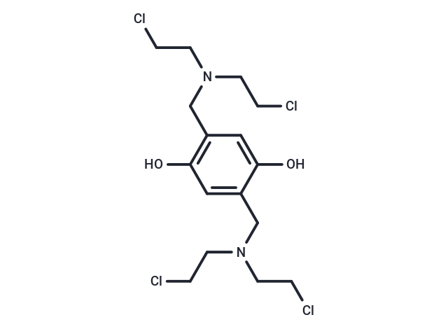 SKI 23325