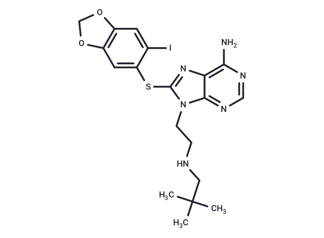 Icapamespib