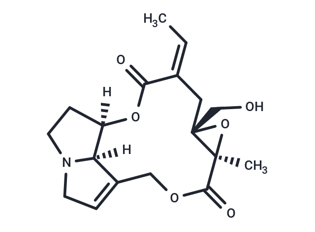 Erucifoline