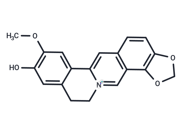 Groenlandicine