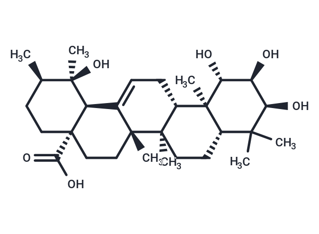 1β-Hydroxyeuscaphic acid