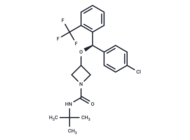 ANEB-001