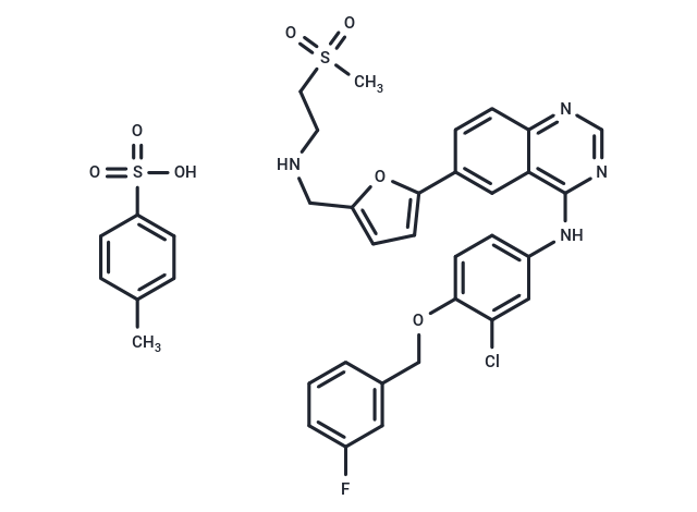 Lapatinib tosylate