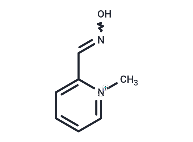 Pralidoxime