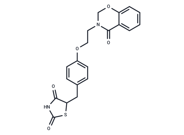 DRF 2519